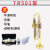 新宝(XinBao)楽器のボンテートレコードTR 500型の真鍮がBを下して大人の初心者に向けてレベルアットの実験演奏用のトラジットT 501型