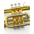 元楽器の金音コルネット音楽器JYCO-E 100トラスト漆金B调管楽器楽器楽器楽器楽器楽器楽器楽器音楽器